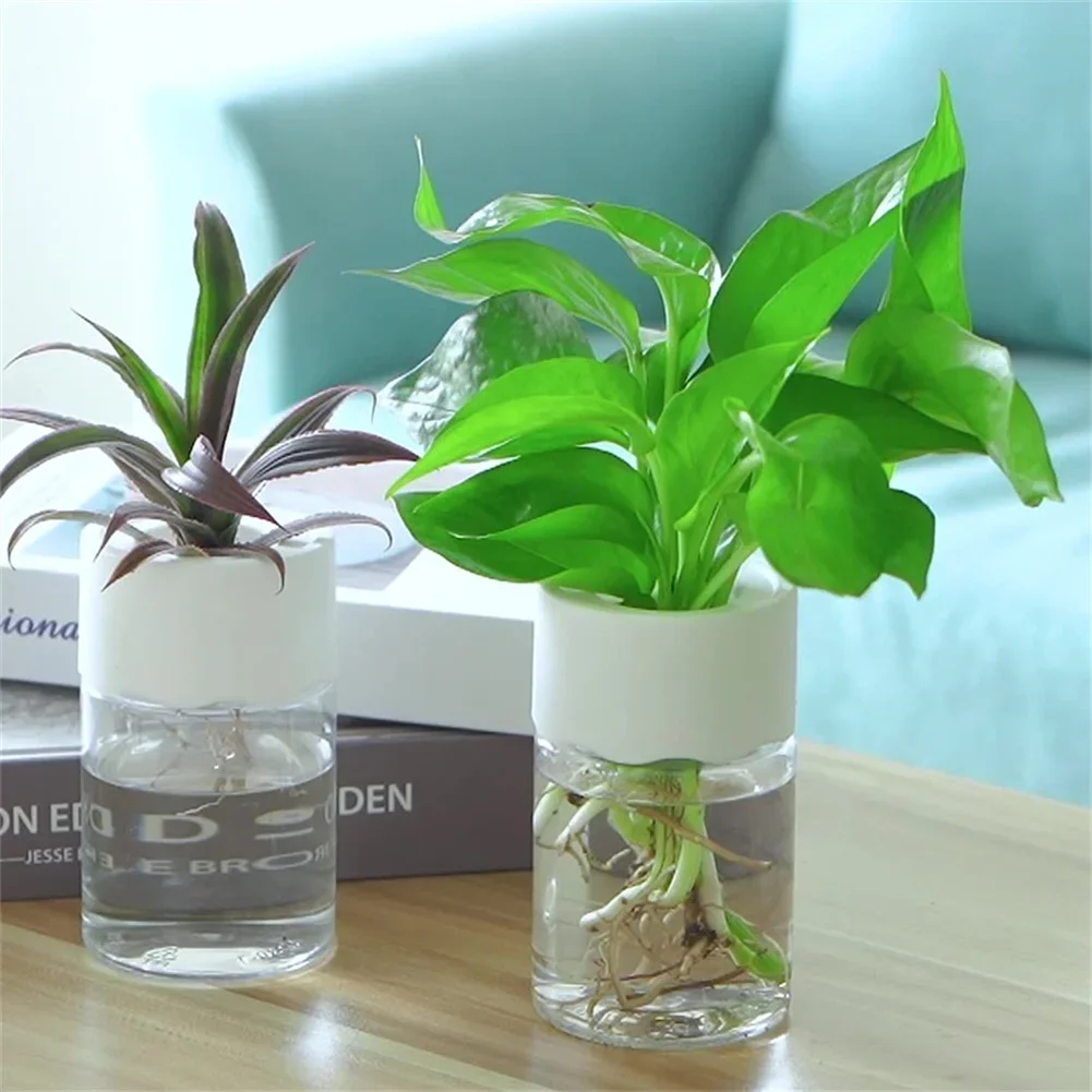 Plant Desk Mini - Mini Hidroponik Saksı Şeffaf Topraksız Bitki