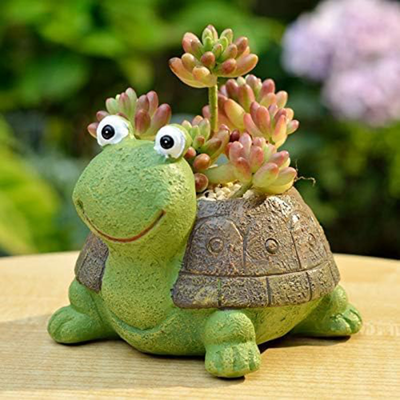 Plant Desk Mini - Sevimli kaplumbağa ekici etli Bonsai kaktüs