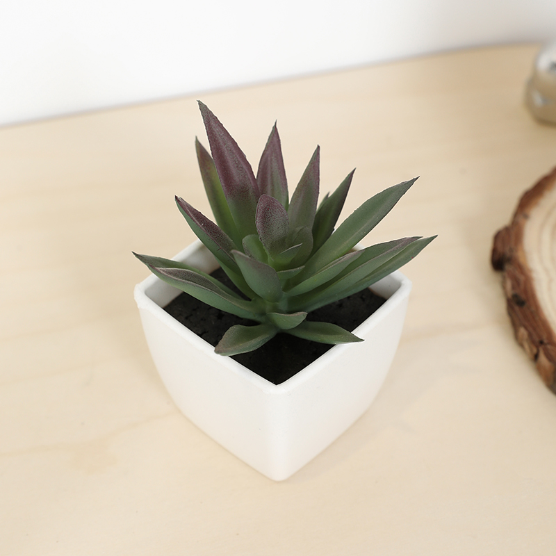 Plant Desk Mini - Mini Yapay Etli Peri Bardağı Küçük