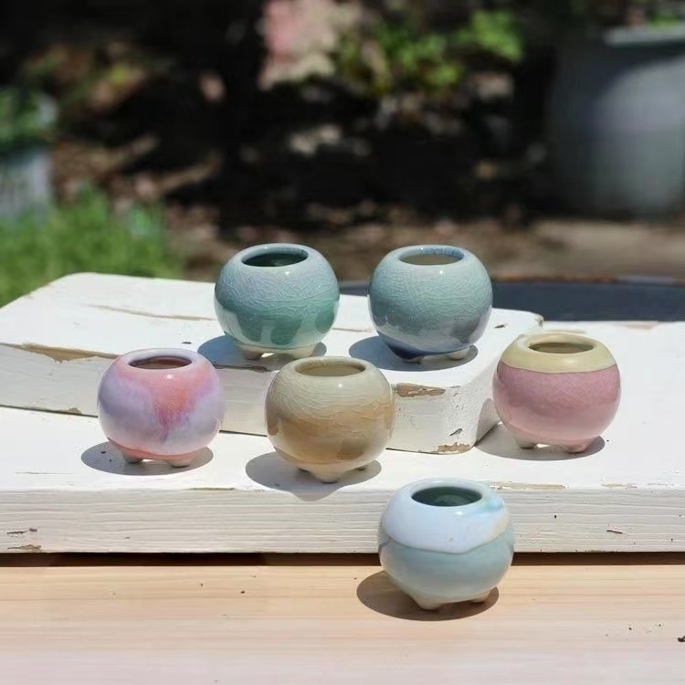Plant Desk Mini - 6 Adet Mini Saksı Succulents Küçük