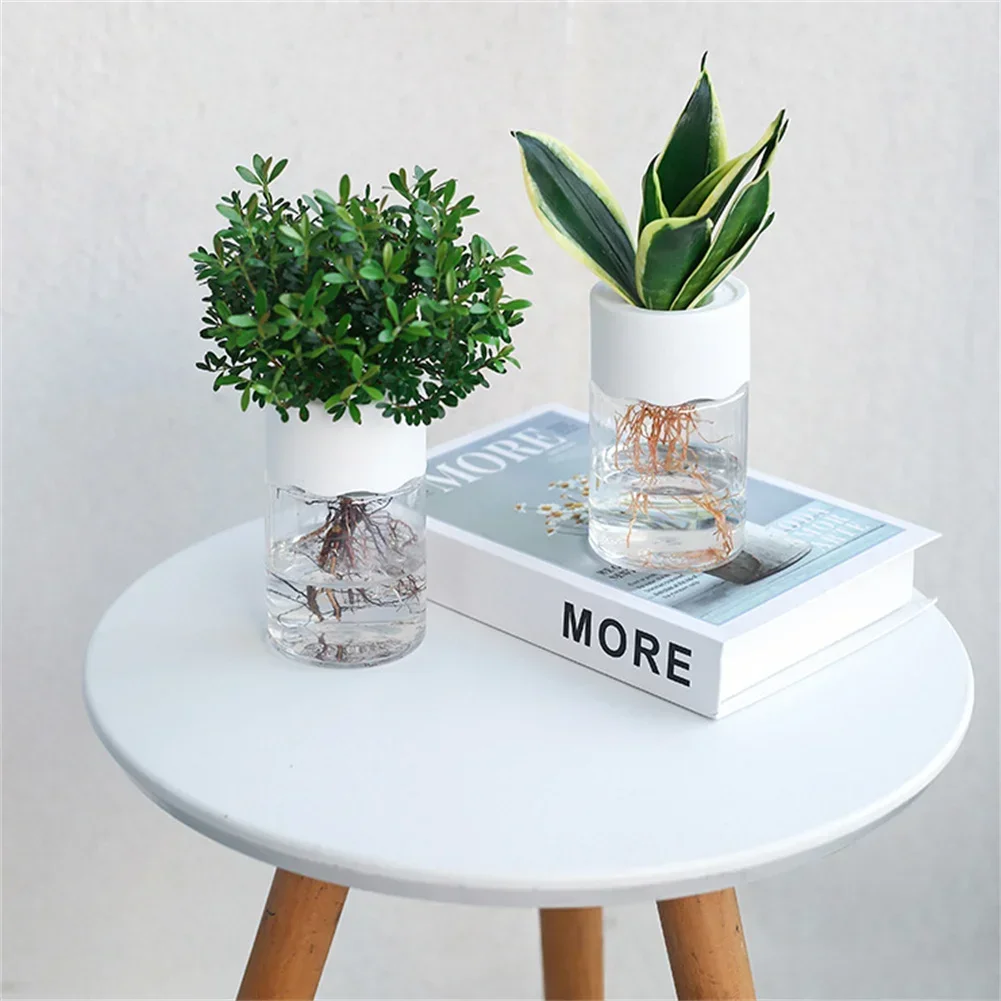 Mini Hidroponik Saksı Şeffaf T - Plant Desk Mini incelemesi ve fiyatı