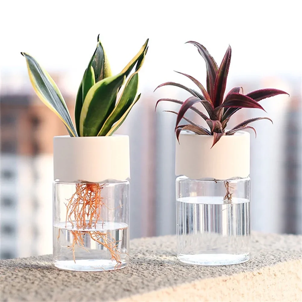 Mini Hidroponik Saksı Şeffaf T - Plant Desk Mini incelemesi ve fiyatı