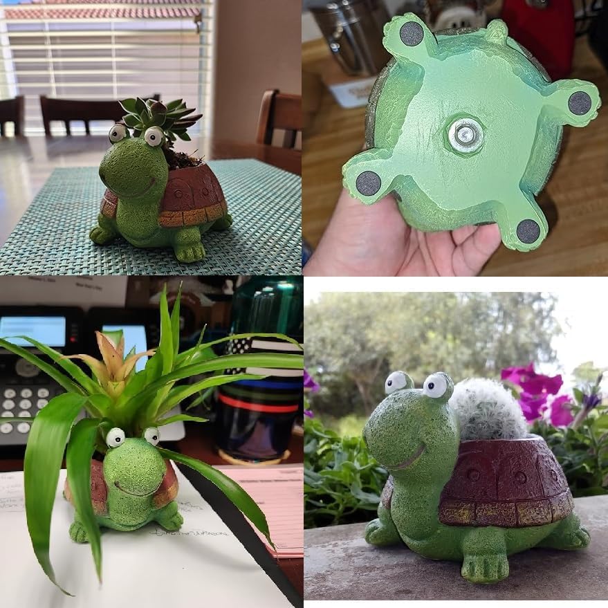 Sevimli kaplumbağa ekici etli  - Plant Desk Mini incelemesi ve fiyatı