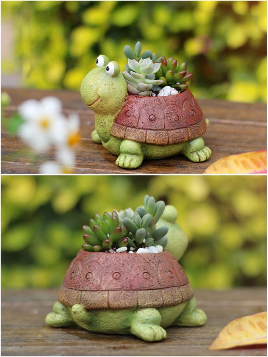 Sevimli kaplumbağa ekici etli  - Plant Desk Mini incelemesi ve fiyatı