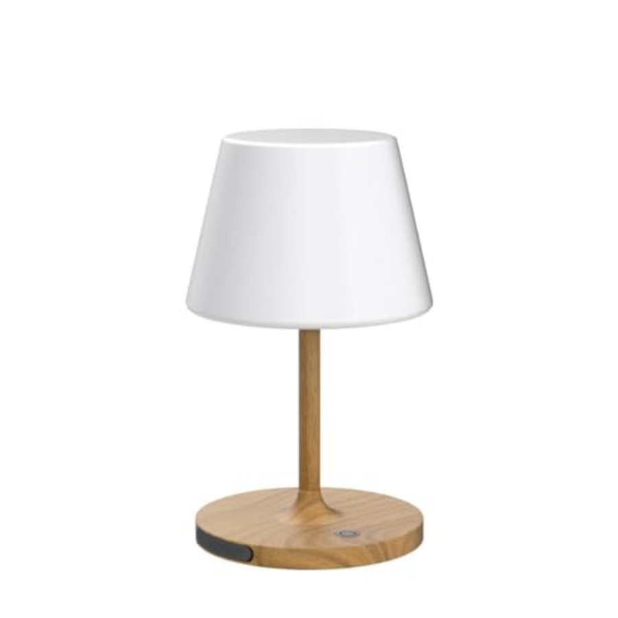 Dış Mekan Pil Çalıştırmalı Mas - Desk Lamp Led incelemesi ve fiyatı