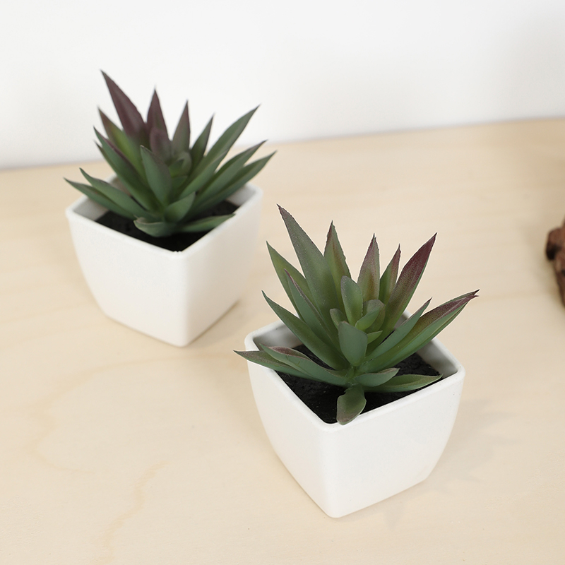 Mini Yapay Etli Peri Bardağı K - Plant Desk Mini incelemesi ve fiyatı