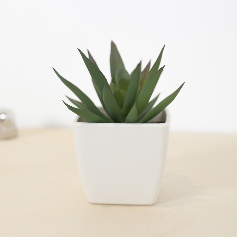 Mini Yapay Etli Peri Bardağı K - Plant Desk Mini incelemesi ve fiyatı